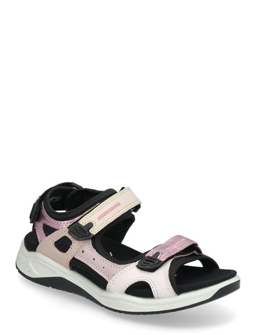 ECCO | X-Trinsic K | 37
