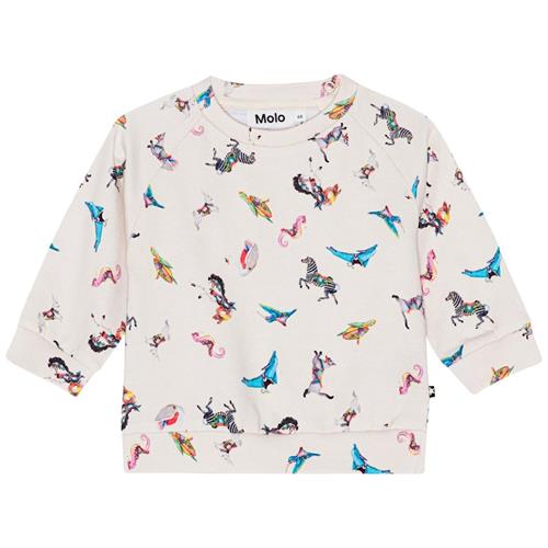 Molo GOTS Disc Sweatshirt Carousel Mini 98 cm  Creme  98 cm  Piger