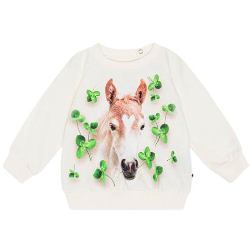 Molo GOTS Disc Sweatshirt Clover Foal 56 cm  Creme  56 cm  Piger