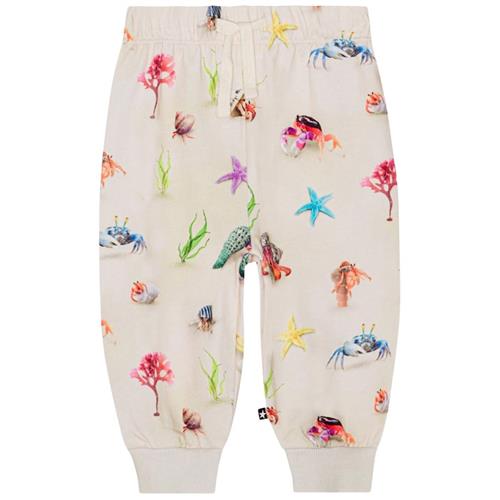 Molo GOTS Simeon Joggingbukser Hermit Crab 80 cm  Beige  80 cm  Drenge, Piger
