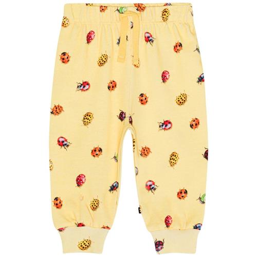 Molo GOTS Simeon Joggingbukser Coccinella 68 cm  Gul  68 cm  Drenge, Piger