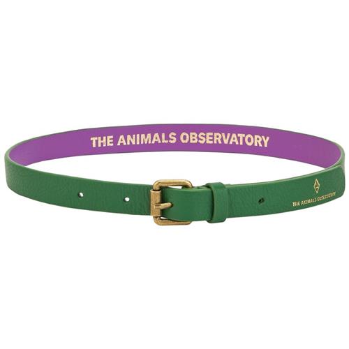 The Animals Observatory Ibis Bælte Grønt 70 cm  Grøn  70 cm  Drenge, Piger