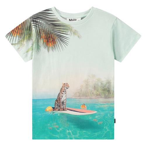 Molo Raul T-Shirt Leo On Surf 92 cm  Beige  92 cm  Drenge