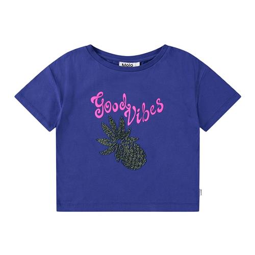 Molo Roseanna T-Shirt Sparkling Fruit 164 cm  Blå  164 cm  Piger