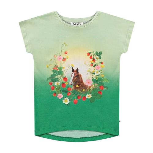 Molo Ragnhilde T-Shirt Beauty 140 cm  Grøn  140 cm  Piger