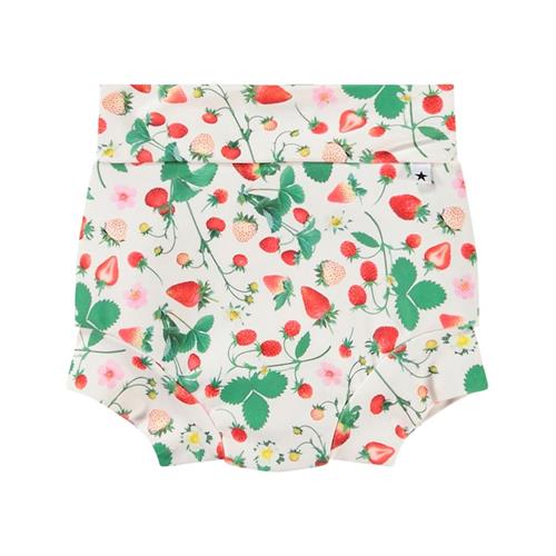 Molo Strawberry Field Pattern Nick Trunks 74/80 cm  Beige  74/80 cm  Drenge, Piger