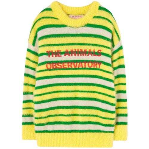 The Animals Observatory STRIPES BULL Strikket trøje Yellow 3 Y  Gul  3 år  Drenge, Piger