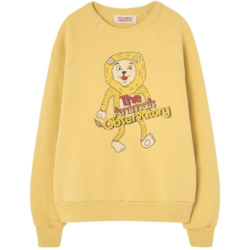 The Animals Observatory Shark Kid Sweatshirt Yellow 2 Y  Gul  2 år  Drenge, Piger