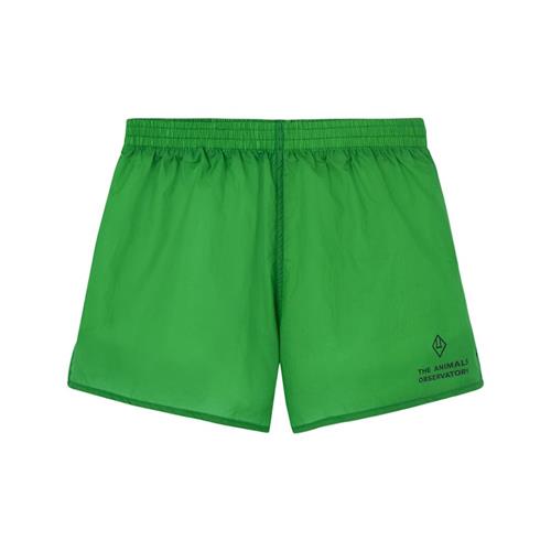 The Animals Observatory Spider Kid Shorts Green 12 Y  Grøn  12 år  Drenge, Piger