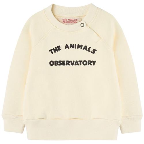 The Animals Observatory Jackal Baby Sweatshirt White Logo 6 months  Hvid  6 måneder  Drenge, Piger