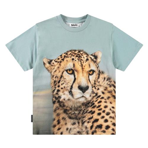 Molo Rubin Short-Sleeved T-Shirt Big Cheetah Blue 92 cm  Blå  92 cm  Drenge