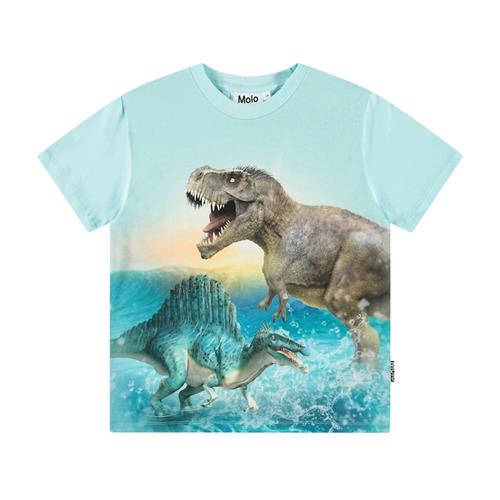 Molo Roxo Short Sleeve T-Shirt Dino Splash 98 cm  Blå  98 cm  Drenge