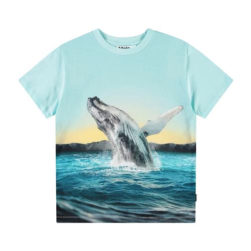 Molo Rame Short Sleeve T-Shirt Whale Jump 92 cm  Blå  92 cm  Drenge