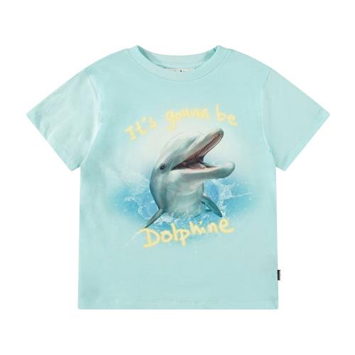 Molo Rame Short Sleeve T-Shirt Dolphine 128 cm  Blå  128 cm  Drenge