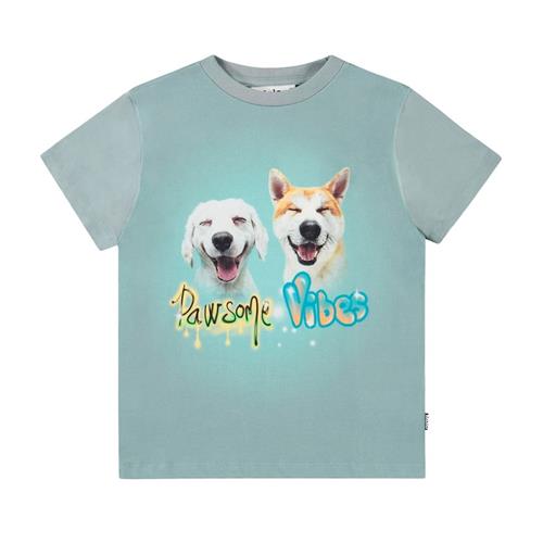 Molo Rame Short Sleeve T-Shirt Pawsome Vibes 110 cm  Blå  110 cm  Drenge
