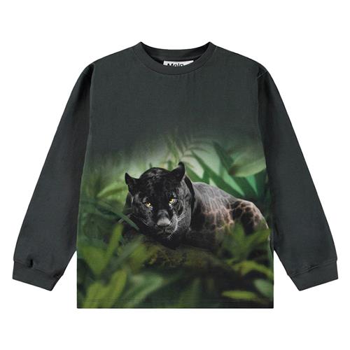 Molo Rube Long Sleeve T-shirt Black Jaguar 98 cm  Sort  98 cm  Drenge
