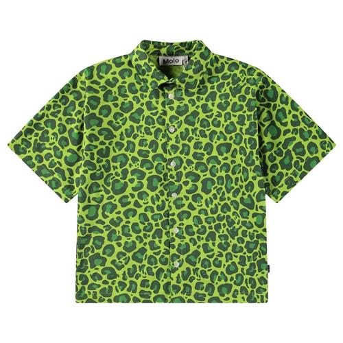 Molo Richie Long Sleeve Shirt Jaguar_green 92/98 cm  Grøn  92/98 cm  Drenge