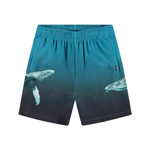 Molo Amil Soft Pants Whale Dive 98 cm  Blå  98 cm  Drenge