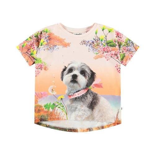 Molo Raeesa Short Sleeve T-Shirt Festivalgoers 116 cm  Orange.  116 cm  Piger