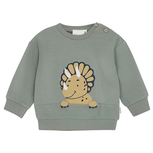 Minymo Sweatshirt Sea Spray 62 cm  Grøn  62 cm  Drenge, Piger