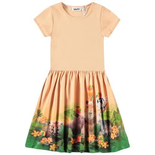 Molo Cissa Short-Sleeved Dress Jungle Games 98/104 cm  Orange.  98/104 cm  Piger