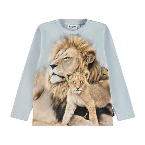 Molo Reif Langærmet T-shirt Lion Family 122 cm    122 cm  Drenge, Piger