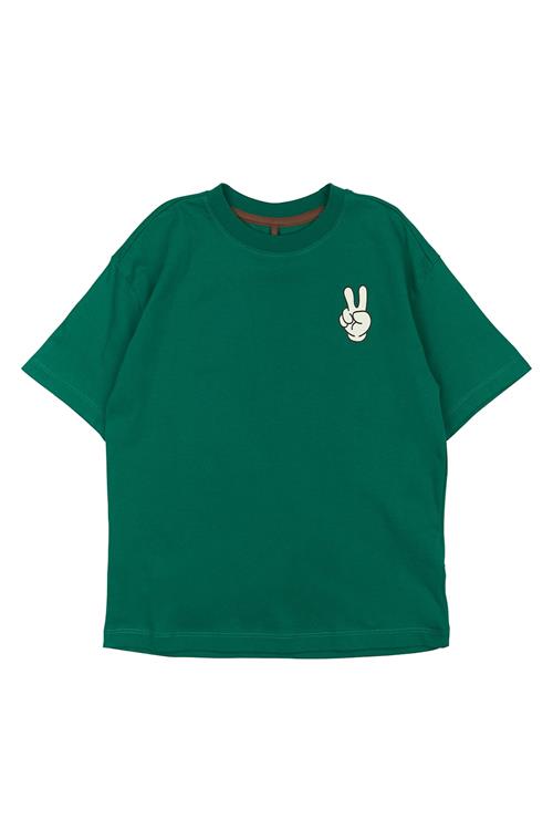 The New GOTS Panton T-shirt Alpine Green  Alpine Green 3-4 Y  Grøn  3-4 år  Drenge