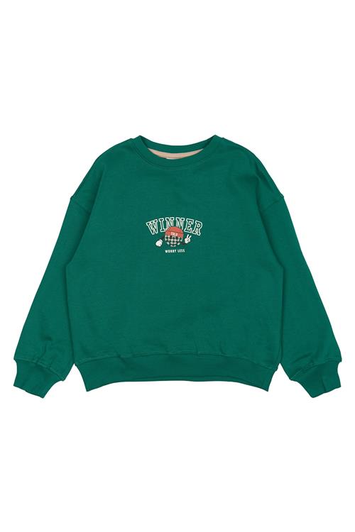 The New GOTS Paul Sweatshirt Alpine Green  Alpine Green 3-4 Y  Grøn  3-4 år  Drenge