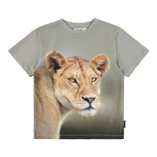 Molo Riley T-shirts Leo  Leo 140 cm  Grøn  140 cm  Drenge