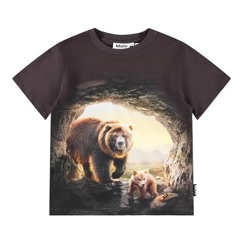 Molo Riley T-shirts Cave Bears  Cave Bears 122 cm  Brun  122 cm  Drenge