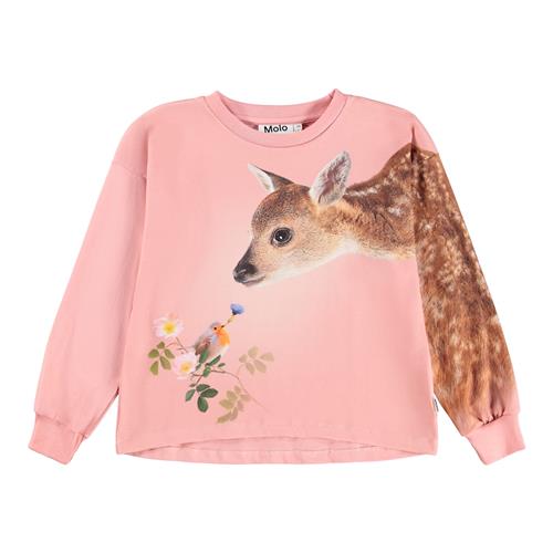 Molo Reniza T-shirt Med Lange Ærmer Flower Gift  Flower Gift 128 cm  Lyserød  128 cm  Piger