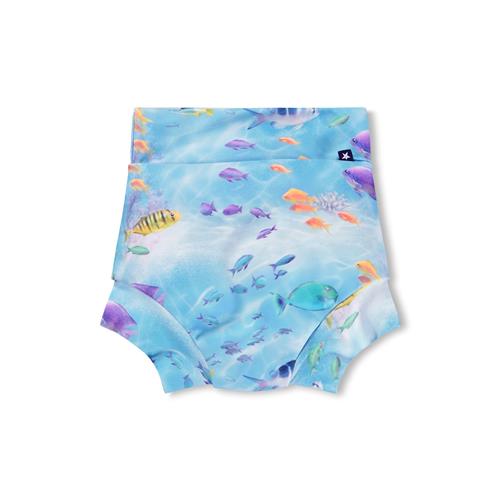 Molo Nick Badebukser Rainbow Sea  Rainbow Sea 74/80 cm  Blå  74/80 cm  Drenge, Piger