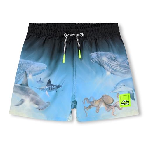 Molo Niko Board Shorts Air Brush Deep  Air Brush Deep 98/104 cm  Blå  98/104 cm  Drenge