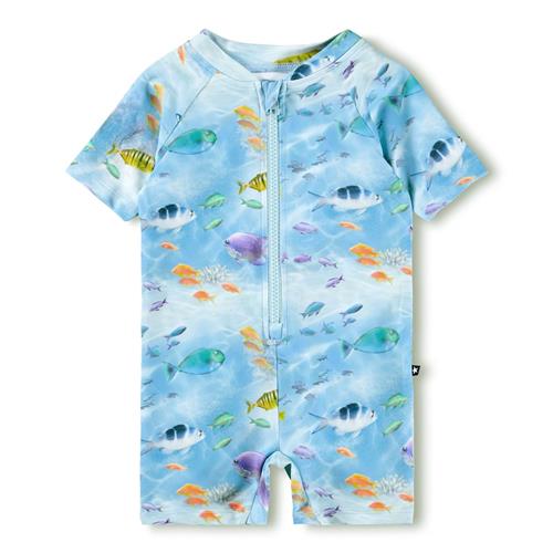 Molo Neka Rushguard I Ét Stykke Rainbow Sea  Rainbow Sea 92/98 cm  Blå  92/98 cm  Drenge, Piger