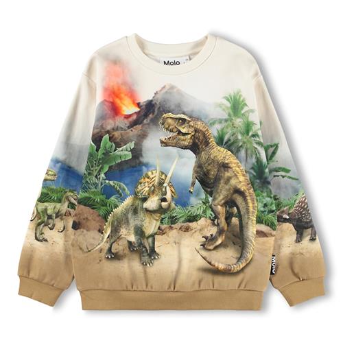 Molo GOTS Miksi Sweatshirt Hot Spring Dinos  Hot Spring Dinos 104 cm  Creme  104 cm  Drenge