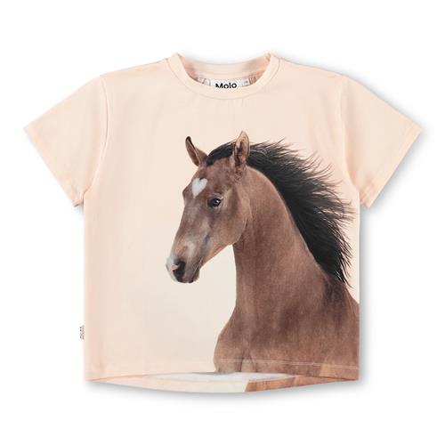 Molo GOTS Rie T-shirt Wild Pony  Wild Pony 104 cm  Lyserød  104 cm  Piger