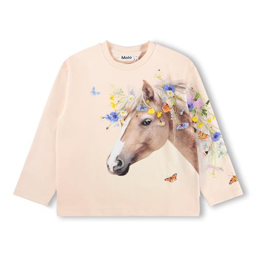 Molo GOTS Mountoo Sweatshirt Meadow Horse  Meadow Horse 122 cm  Lyserød  122 cm  Piger