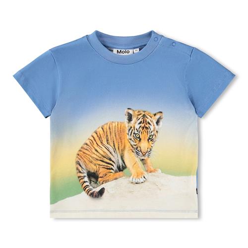Molo GOTS Enzo T-shirt Tiger Cub  Tiger Cub 98 cm  Blå  98 cm  Drenge