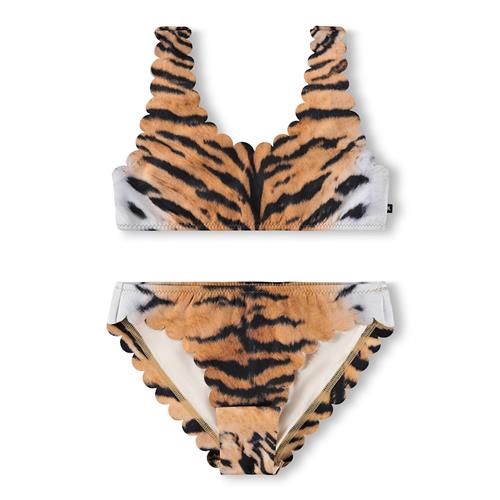 Molo Nolina Bikini Wild Tiger  Wild Tiger 98/104 cm  Brun  98/104 cm  Piger