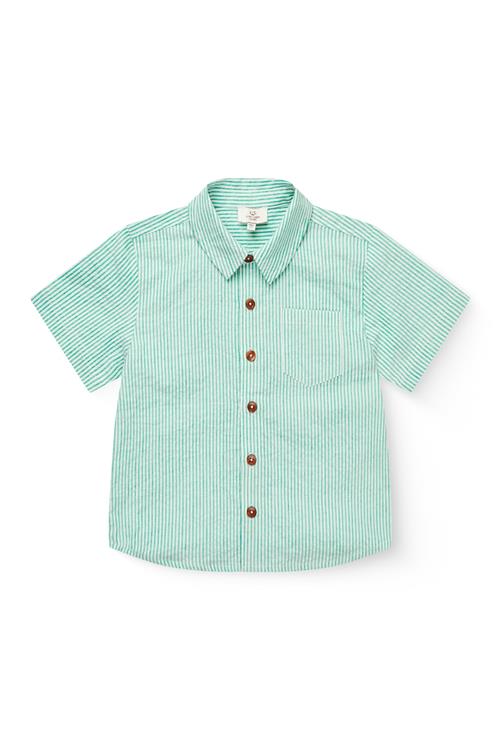 Copenhagen Colors GOTS Skjorte Sharp Green Cream Stripe  Sharp Green Cream Stripe 80 cm  Grøn  80 cm  Drenge
