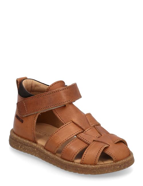 ANGULUS | Sandals - Flat  - Closed Toe | 23