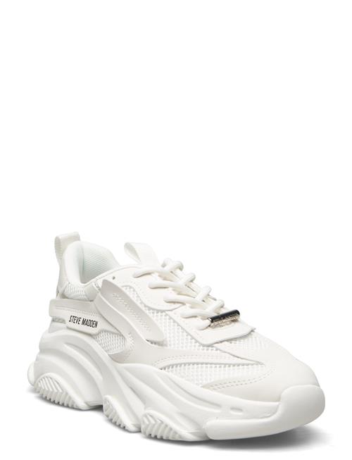 Steve Madden | Possession-E | 40