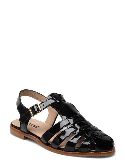 ANGULUS | Sandals - Flat  - Closed Toe - Op | 38-25.1CM