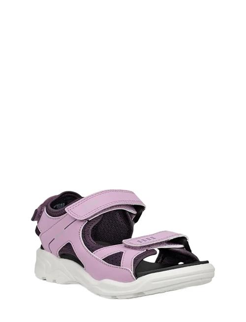 ECCO | Biom Raft | 38