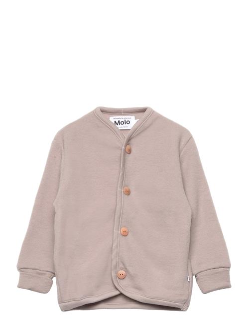 Molo | Umber | 62