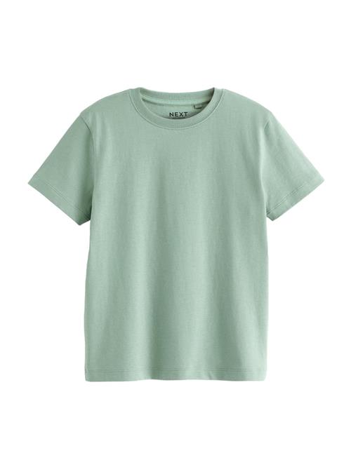 Next Shirts  grøn