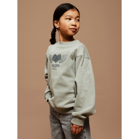 NAME IT Sweatshirt Boidas Shadow