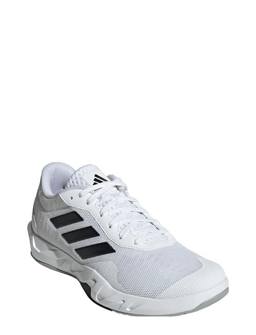adidas Performance | Amplimove Trainer M | 41 1/3