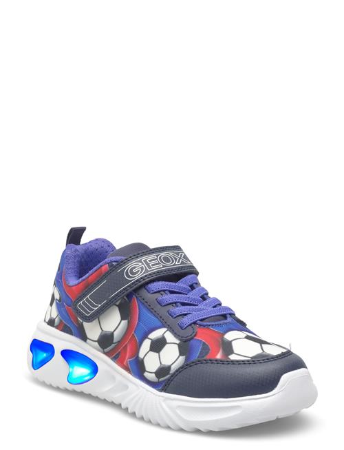 GEOX | J Assister Boy B | 27