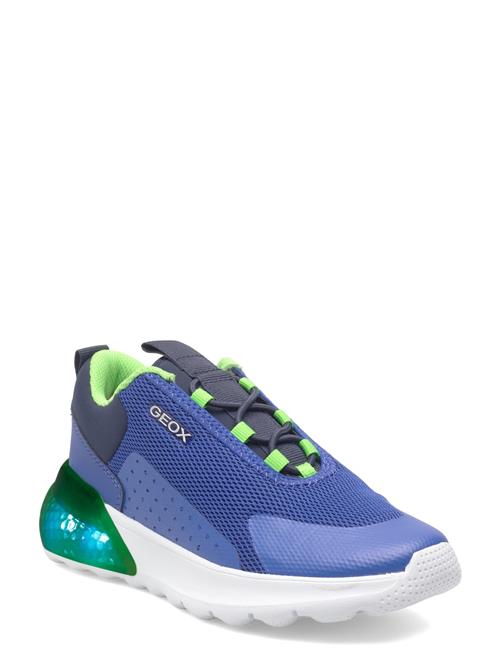 GEOX | J Activart Illuminus | 31